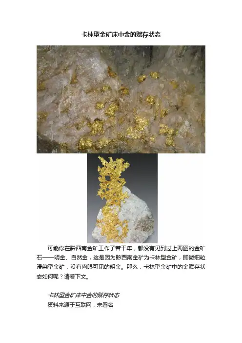 卡林型金矿床中金的赋存状态