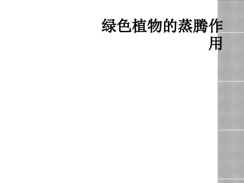 绿色植物的蒸腾作用