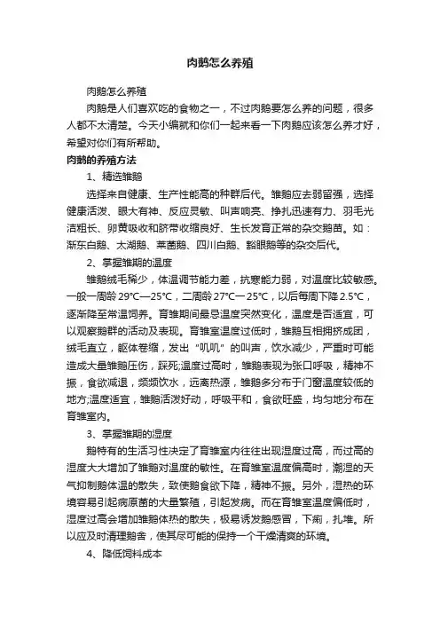肉鹅怎么养殖