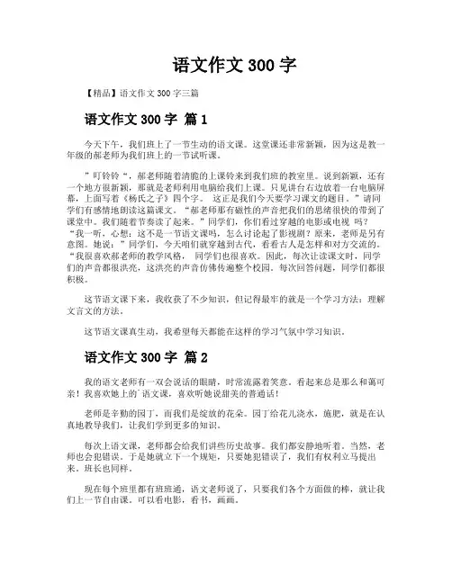 语文作文300字