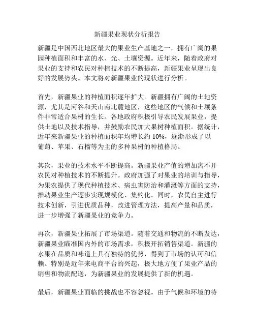 新疆果业现状分析报告