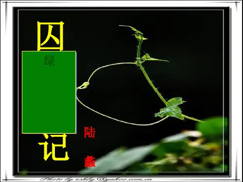 囚绿记ppt课件完美版