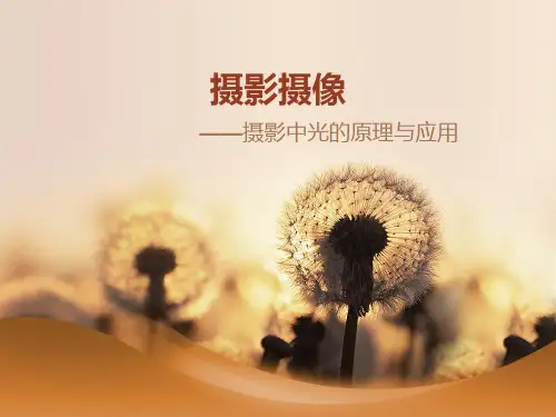 摄影——光的种类与应用