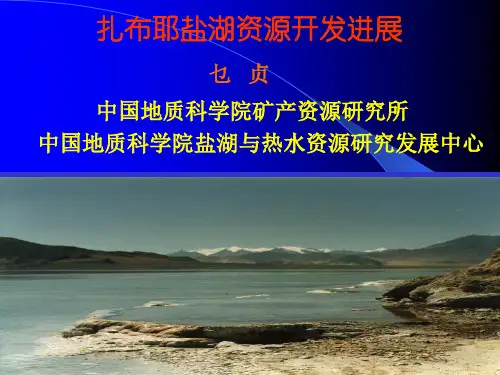 7-扎布耶盐湖的开发