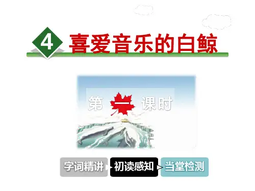 北师大版三年级语文上册《第4课喜爱音乐的白鲸》课件第1课时