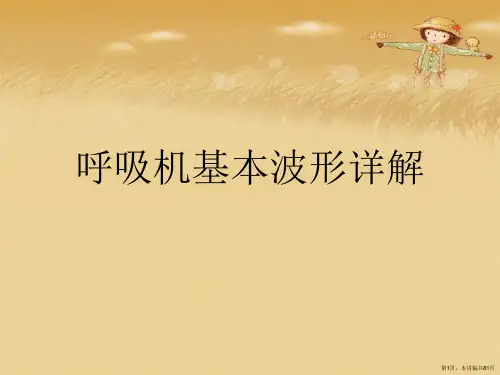 呼吸机基本波形详解