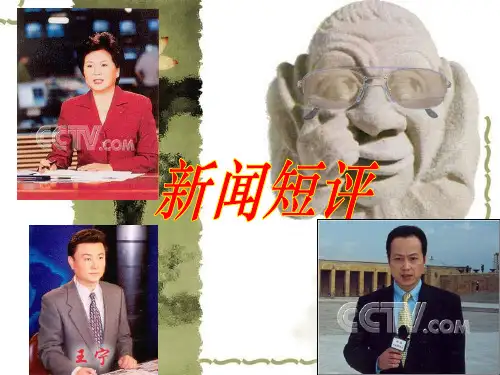 《新闻评论》ppt课件