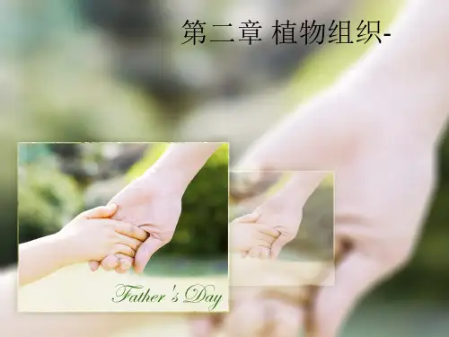 第二章 植物组织-