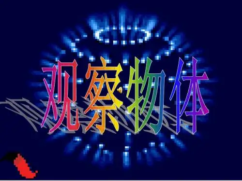 二年级数学_观察物体_完整版PPT课件