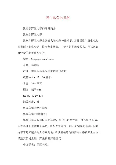 野生乌龟的品种