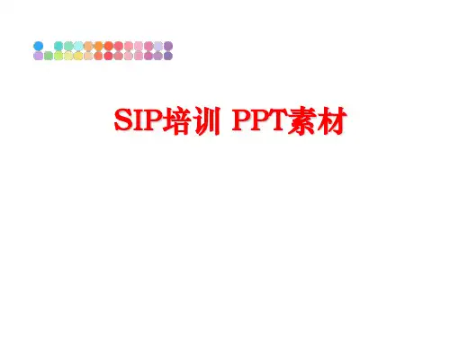最新SIP培训 PPT素材