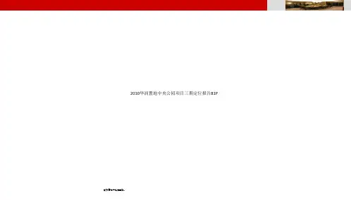 2010华润置地中央公园项目三期定位报告81P