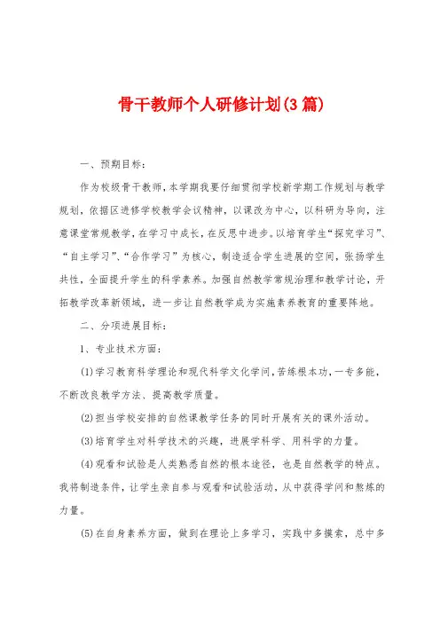 骨干教师个人研修计划(3篇)