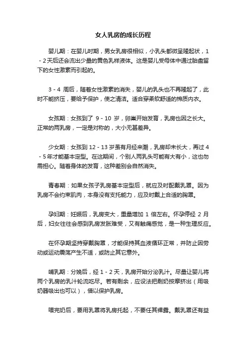 女人乳房的成长历程
