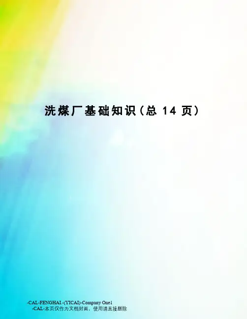 洗煤厂基础知识