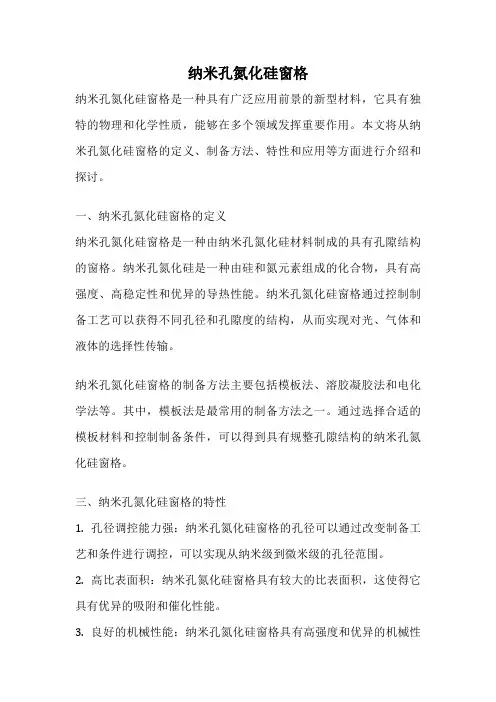 纳米孔氮化硅窗格