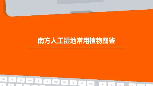 南方人工湿地常用植物图鉴