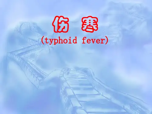 伤寒 ppt课件