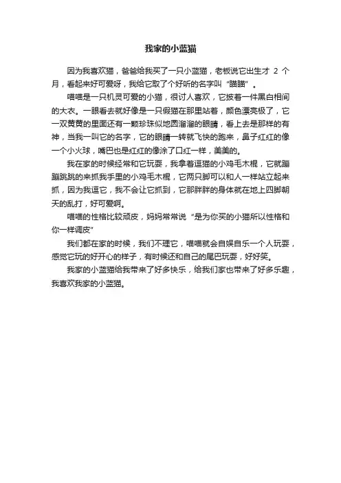 我家的小蓝猫