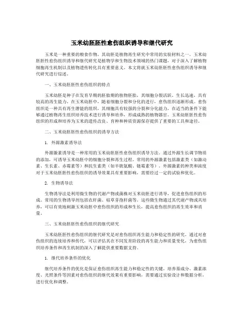 玉米幼胚胚性愈伤组织诱导和继代研究