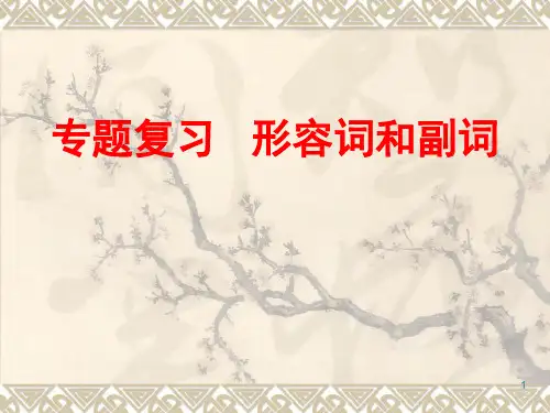 中考英语专题复习 形容词和副词(共33张PPT)