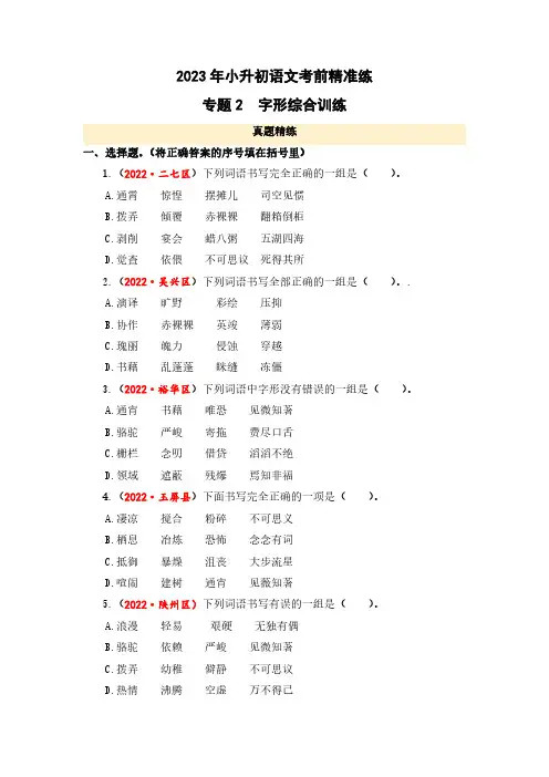 字形综合训练-2023年小升初语文考前精准练(全国版)