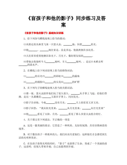 《盲孩子和他的影子》同步练习及答案