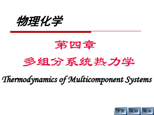 多组分体系热力学.ppt