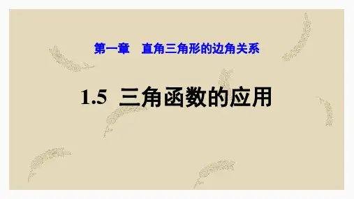 北师大版九年级数学下册《三角函数的应用》直角三角形的边角关系PPT教学课件