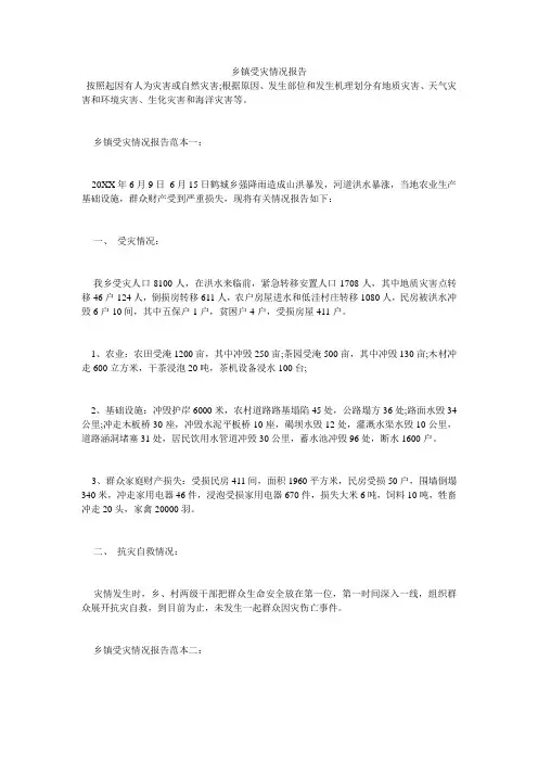 乡镇受灾情况报告