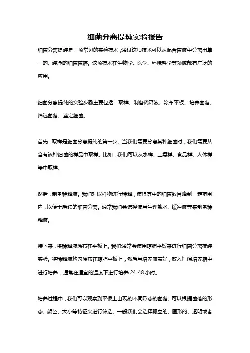 细菌分离提纯实验报告