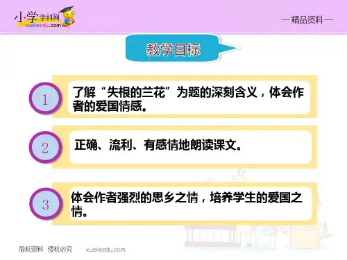 【精品】17失根的兰花(课件)_鲁教版六年级语文下册