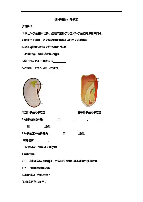 种子植物导学案