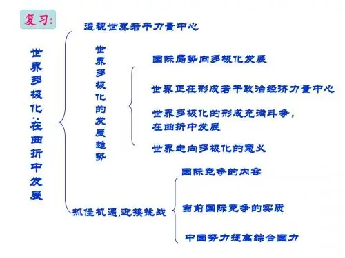 政治：4.9.3《我国外交政策的宗旨：维护世界和平 促进共同发展》课件(新人教必修2)