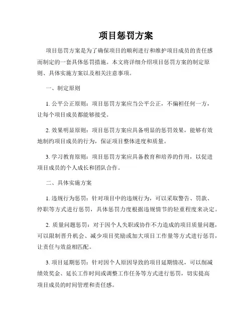 项目惩罚方案