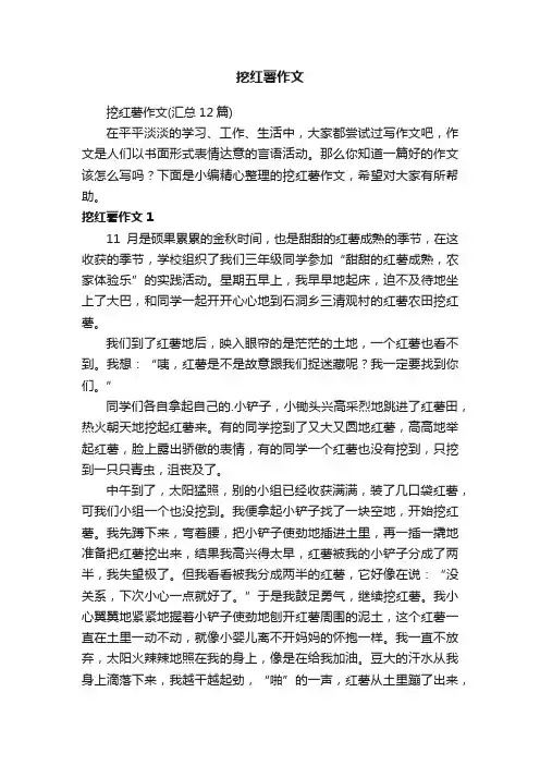 挖红薯作文（汇总12篇）