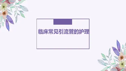 各种引流管的护理