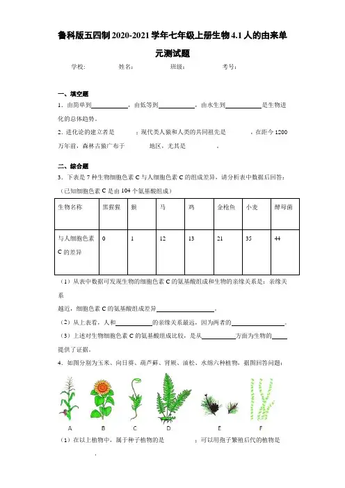 鲁科版五四制2020-2021学年七年级上册生物4.1人的由来单元测试题