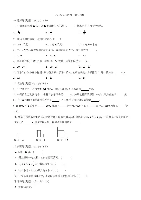 人教版六年级下册数学  小升初专项训练  数与代数