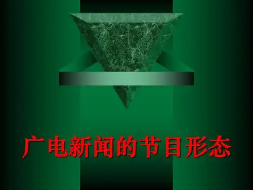 广电新闻的节目形态