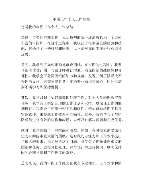 审图工作个人工作总结