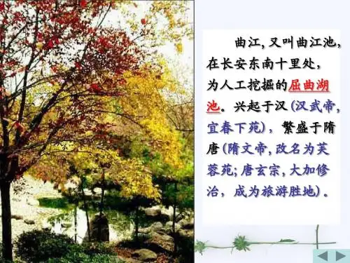 哀江头PPT7 粤教版