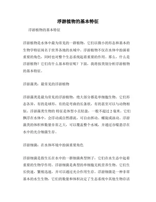 浮游植物的基本特征