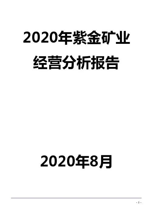 2020 年资金矿业经营分析报告