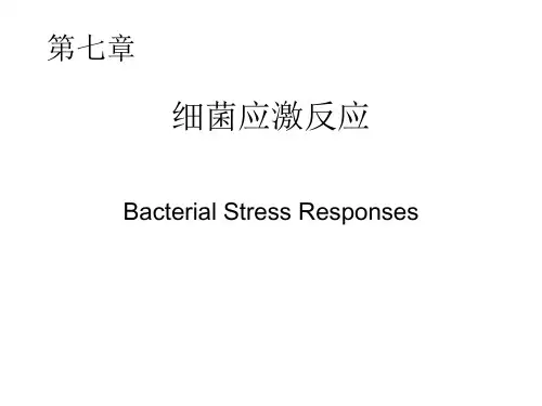 细菌应激反应