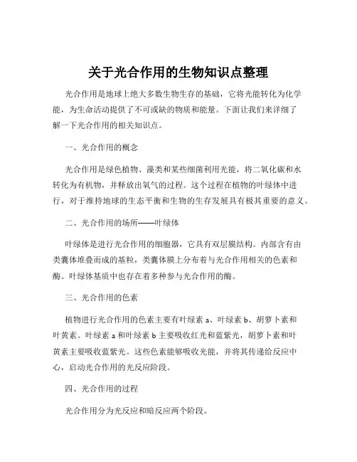 关于光合作用的生物知识点整理