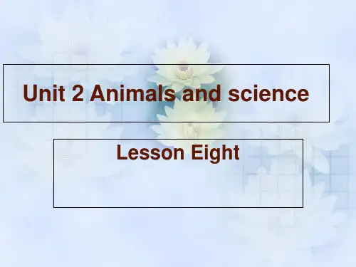 六年级上册英语课件-Unit 2 Animals and science  Lesson 8 课件｜