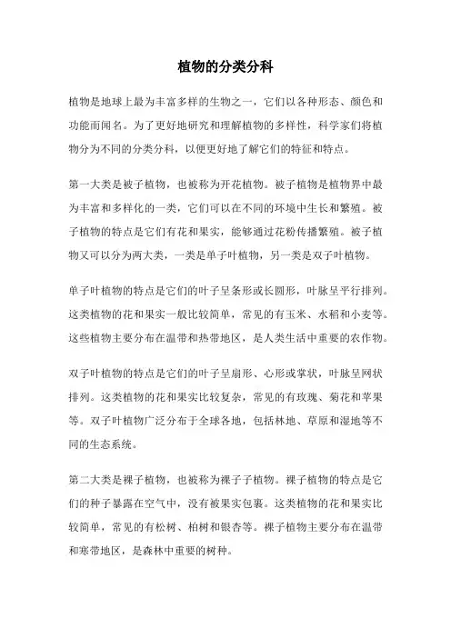 植物的分类分科