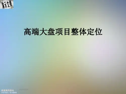 高端大盘项目整体定位