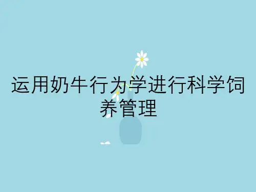 运用奶牛行为学进行科学饲养管理